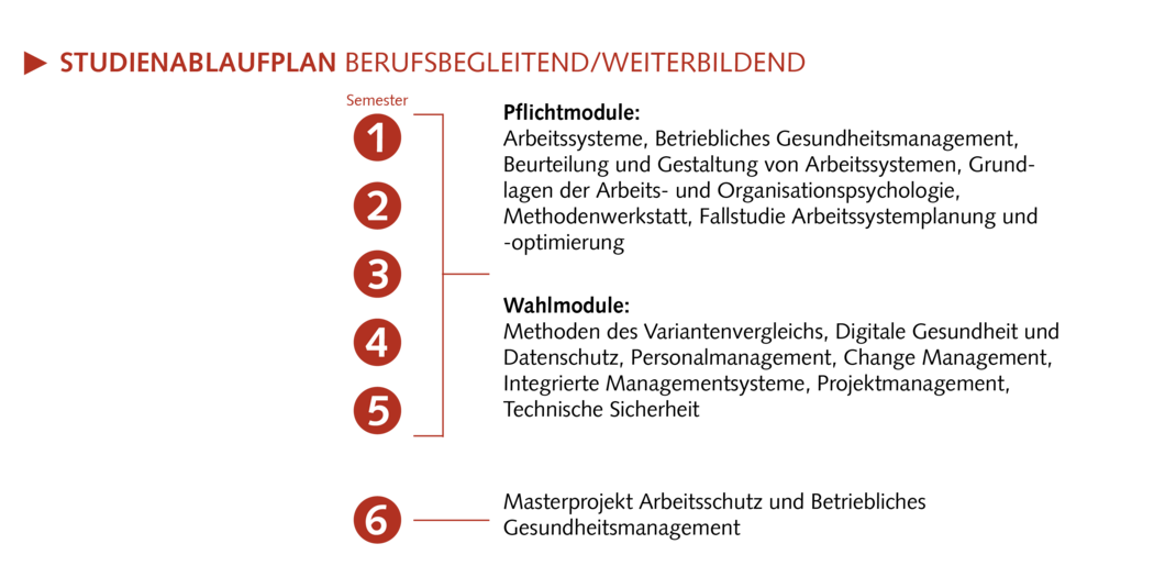 Plan den Studiums Arbeitsschutz und Betriebliches Gesundheitsmanagement (berufsbegleitend)