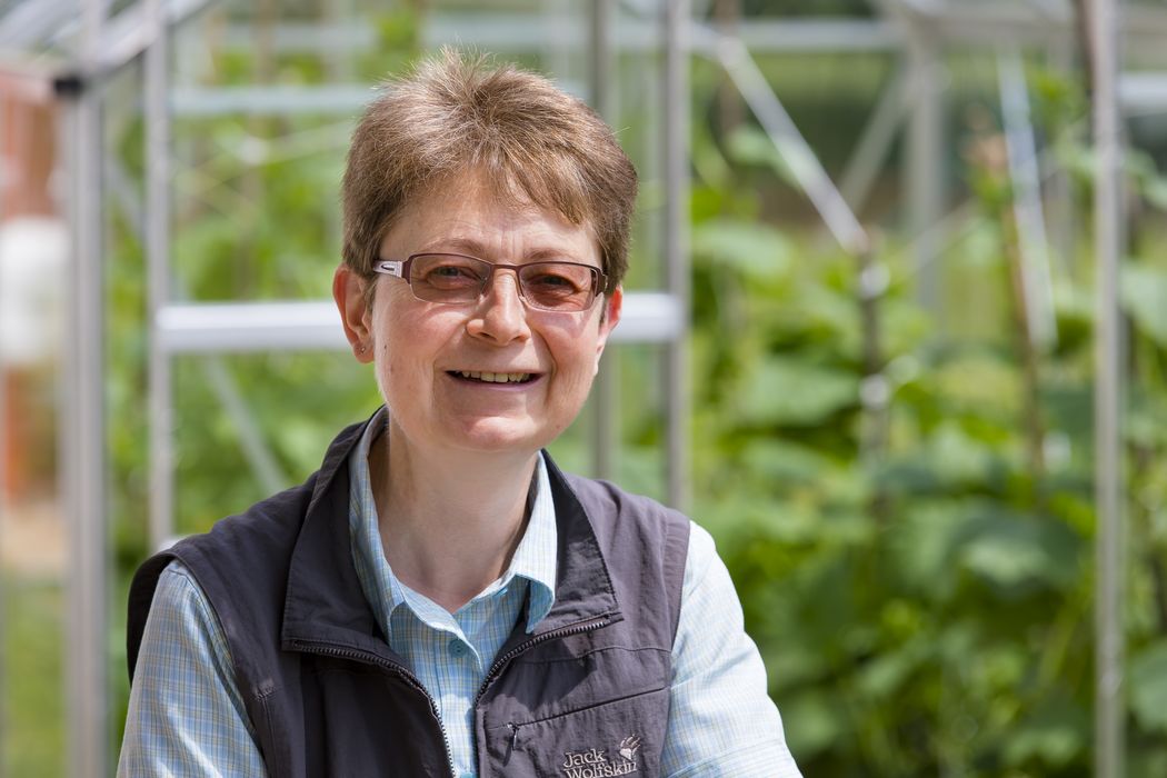 Foto: Porträtbild Frau Prof. Dr. Silke Heßberg.