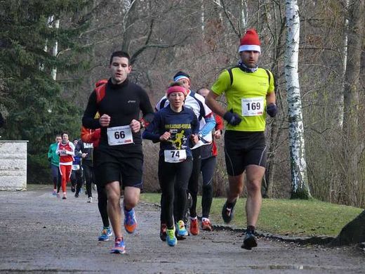 Foto: Marathonläufer laufen am Schwanenteich.