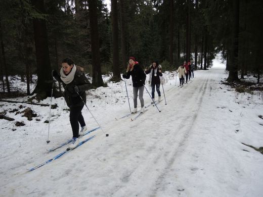 Foto: Teilnehmer beim Skilanglauf auf einer Waldstrecke.