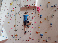 Foto: Ein Schüler in der Kletter- und Boulderhalle Zwickau hängt in einer Kletterwand.