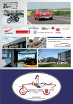 PDF: Flyer mit Bildern und Logos zur Schwanenklassik 2019.
