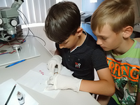 Foto: 2 Jungen in einem Labor, führen ein kleines Experiment durch. 
