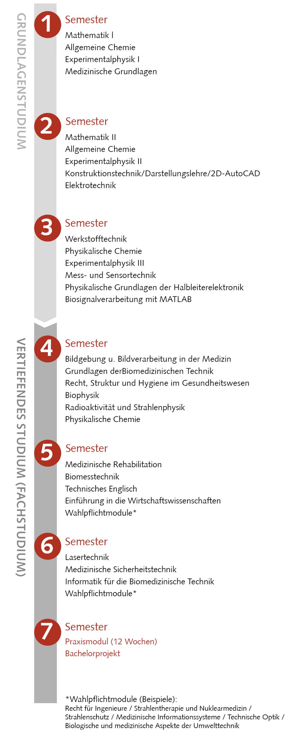 Bild: Studienablaufplan Biomedizinische Technik