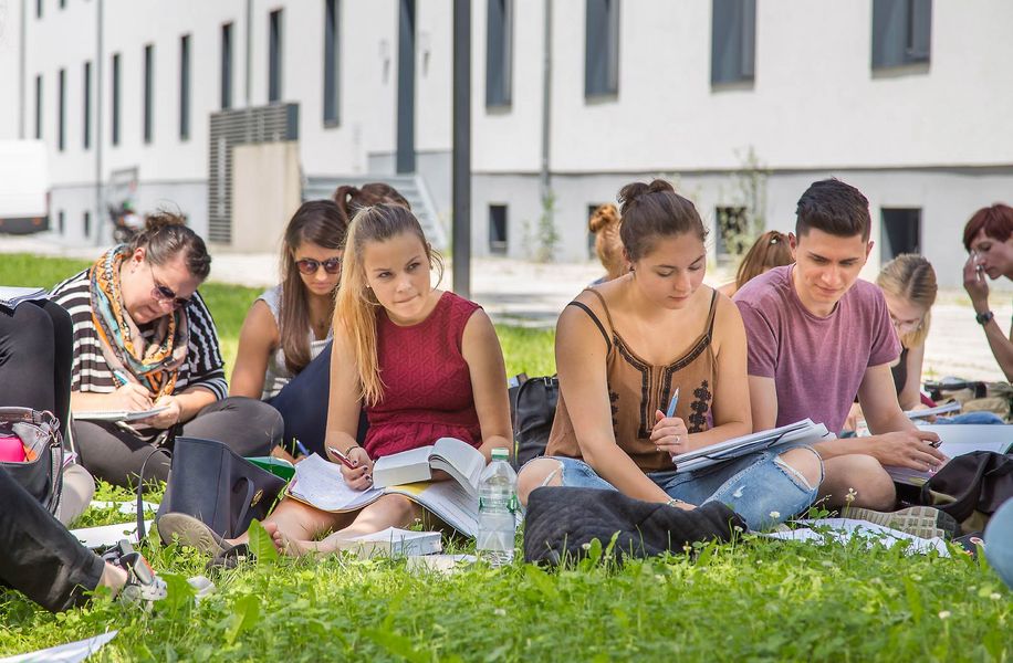 Studentengruppe auf Wiese Quelle_WHZ_Helge_Gerischer