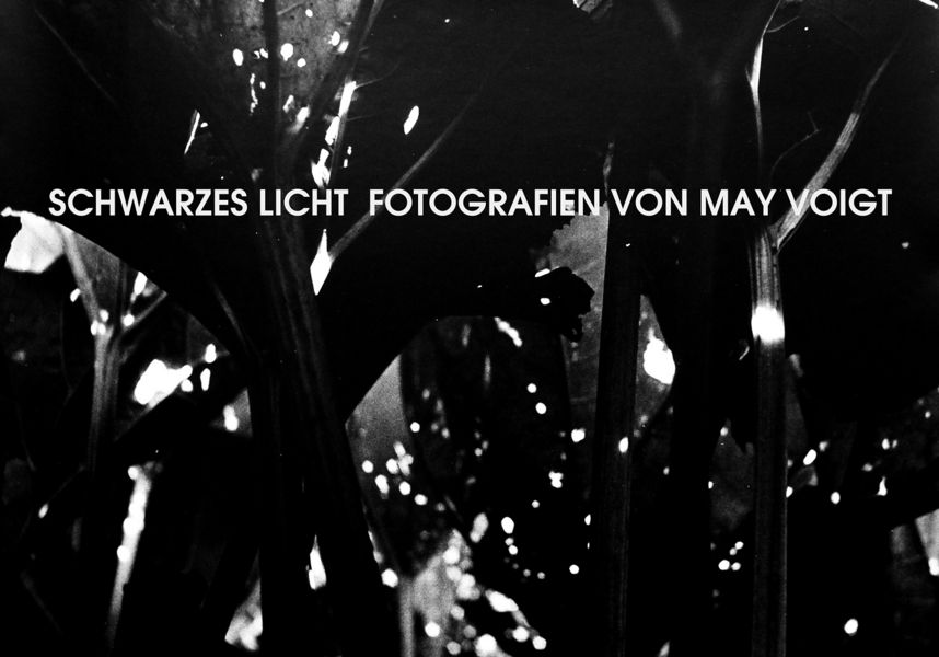 Plakat Schwarzes Licht