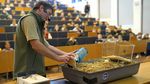 Eine Person in Zookleidung bewegt einen Plüschtierhamster durch einenb geöffneten Hamsterstall.