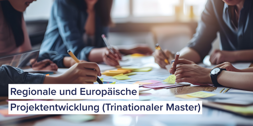 Personen arbeiten an einem Projekt mit vielen Notizzetteln