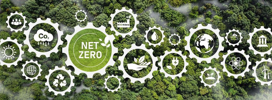 bird perspective on woods with white sustainability icons on top