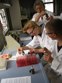 Foto: Beim Boysday experimentieren Jungen unter Anleitung in einem Labor.