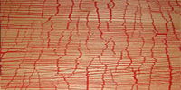 Foto: Eine Oberflächenstruktur aus Holz in Verbindung eines anderen Werkstoffes. Studienarbeit Materialkombination.