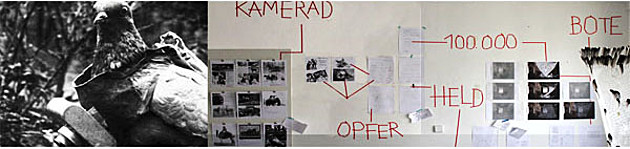 Foto: Brieftauben im Kriegseinsatz. Ein Wandzeitung mit Bildern und Texten.