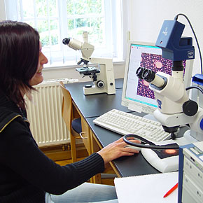 Foto: Eine Studierende wertet an einem Computerbildschirm die Mikroskop-Daten aus.