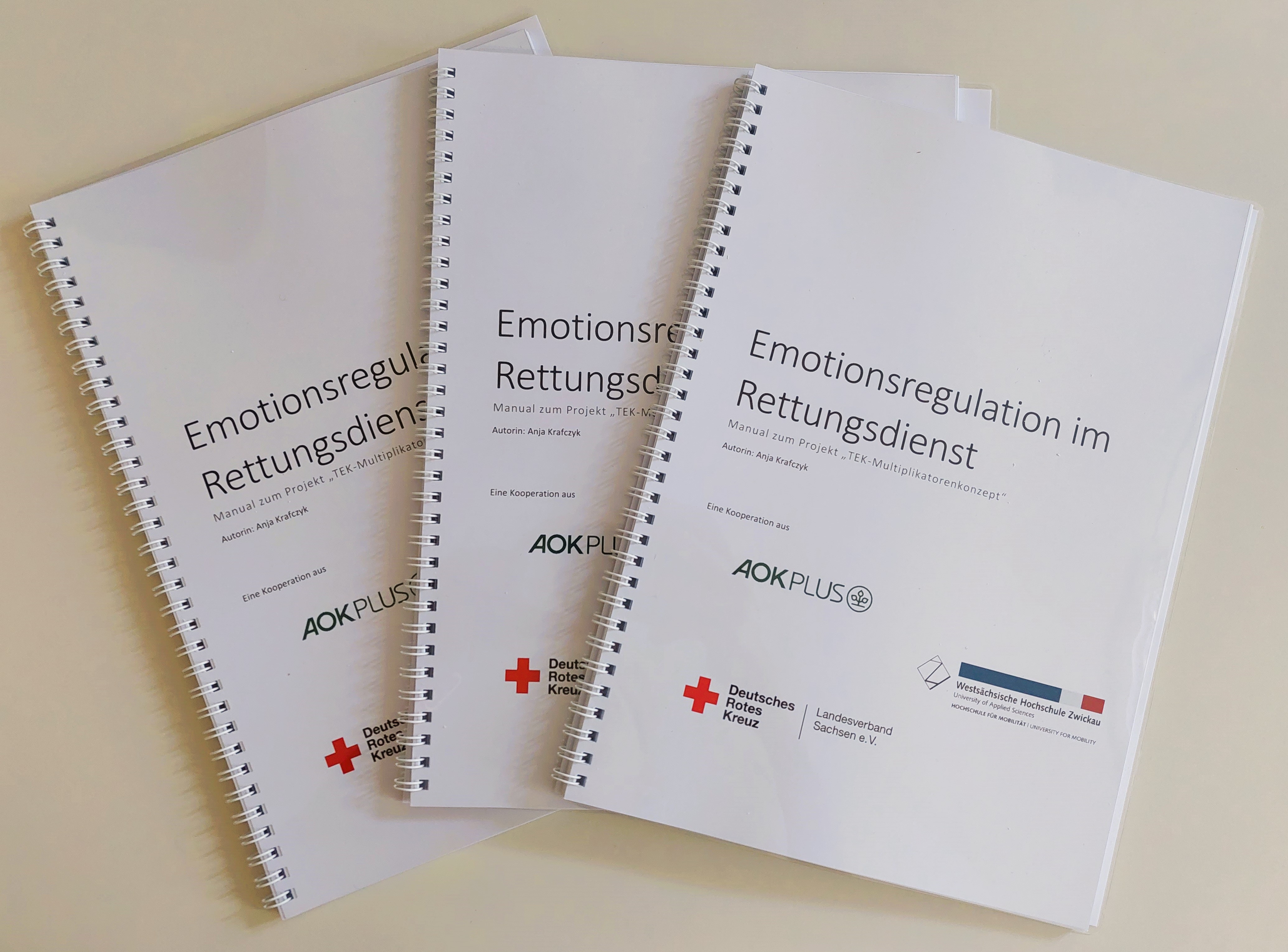 Foto: Abschlussworkshop der 3.Phase des TEK-Forschungsprojektes, DRK Landesverband Dresden, Manual zu dem Projekt
