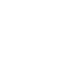 Icon - Digitalisierung