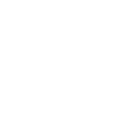 Icon - Technik