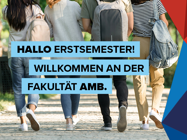 Es sind Studenten von hinten zu sehen, die gmeinsam einen Weg entlang gehen.