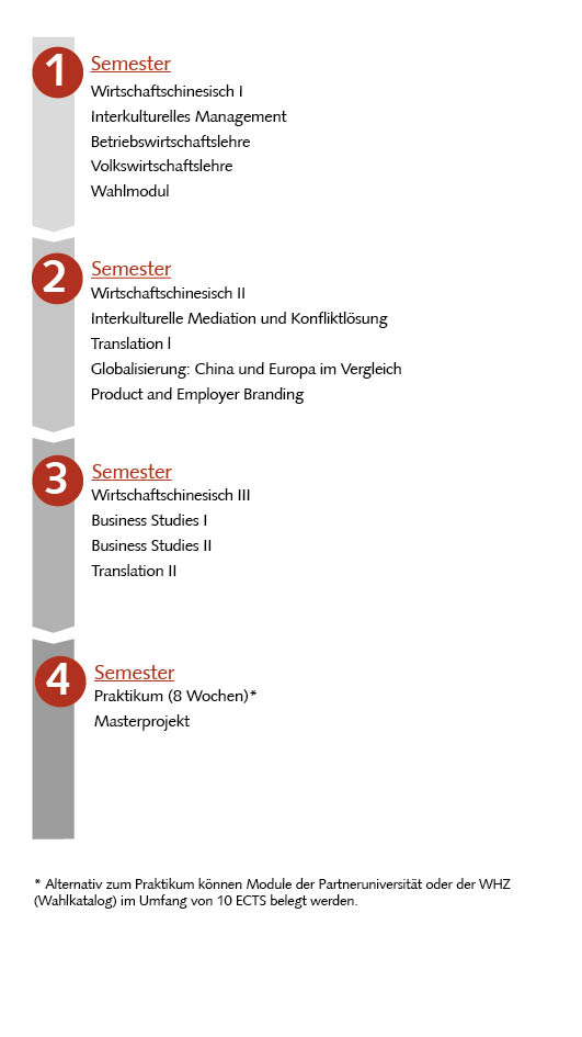 Bild: Studienablaufplan Languages and Business Administration (Master)